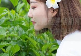 MiStar魅妍社 – 想把赵梦洁的写真收藏起来，墙上全是女神壁纸！
